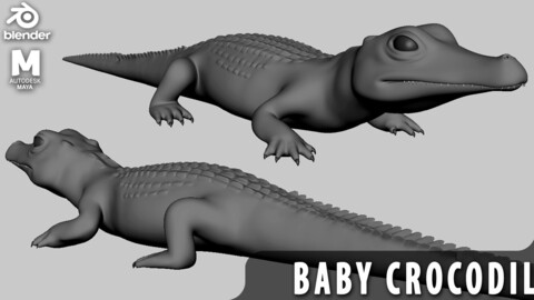 Baby Crocodile - Topology + UV Map