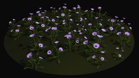 Purple wild flowers Low-poly