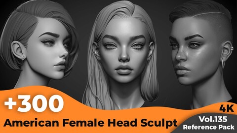 +300 American Female Head Sculpt References(4k)