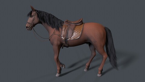 horse