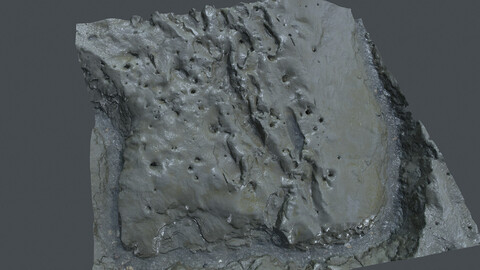 Terrain_0005_foreshore_Mud_ground (Photogrammetry,3Dscan,photoscan)