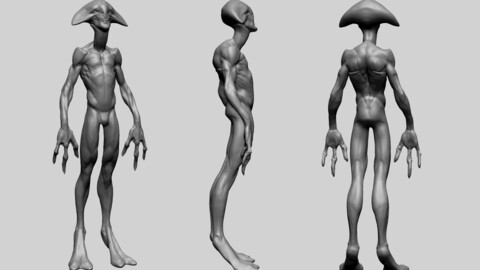 Creature Body Anatomy B