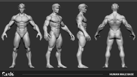 Zbrush Stylized Male Anatomy