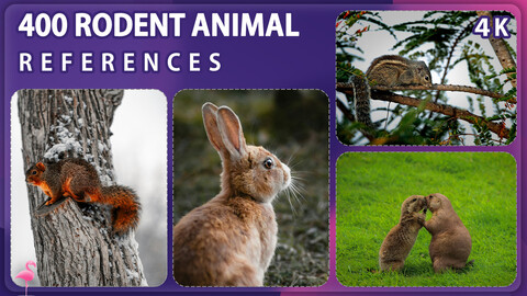 400 Rodent Animals Image Reference Pack – Vol 2