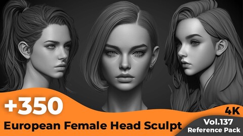 +350 European Female Head Sculpt References(4k)