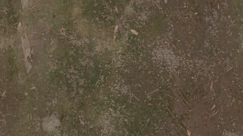 Moss Seamless Texture 2k (2048*2048) | EXR 5 | JPG 5 File Formats All Texture Apply After Object Look Like A 3D. (1K preview image)