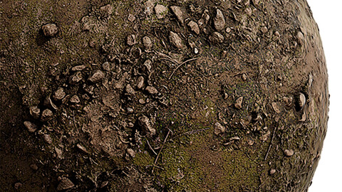 Moss Seamless Texture Patterns 2k (2048*2048) | EXR 5 | JPG 5 File Formats. (1K preview image)