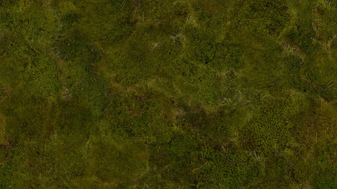 Moss Seamless Texture 2k (2048*2048) | EXR 5 | JPG 5 File Formats All Texture Apply After Object Look Like A 3D. (1K preview image)