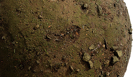 Moss Seamless Texture Patterns 2k (2048*2048) | EXR 5 | JPG 5 File Formats. (1K preview image)