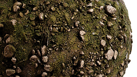 Moss Seamless Texture Patterns 2k (2048*2048) | EXR 5 | JPG 5 File Formats. (1K preview image)