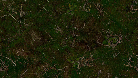 Moss Seamless Texture 2k (2048*2048) | EXR 5 | JPG 5 File Formats All Texture Apply After Object Look Like A 3D. (1K preview image)