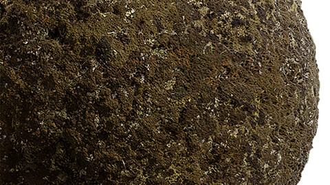 Moss Seamless Texture Patterns 2k (2048*2048) | EXR 5 | JPG 5 File Formats. (1K preview image)