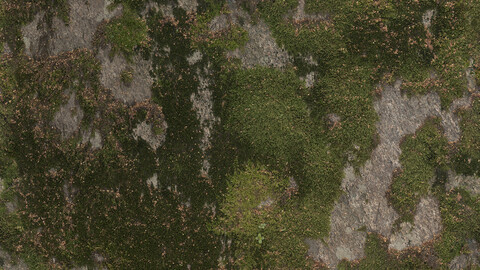 Moss Seamless Texture 2k (2048*2048) | EXR 5 | JPG 5 File Formats All Texture Apply After Object Look Like A 3D. (1K preview image)