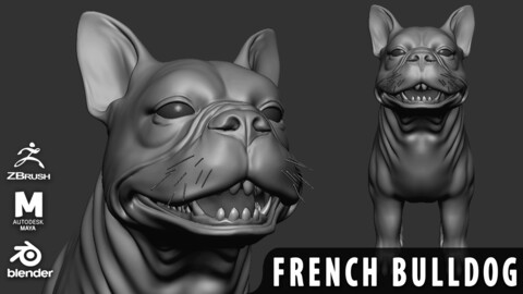 French BullDog  - Topology + UV map