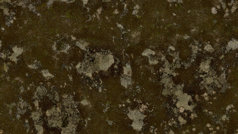 Moss Seamless Texture 2k (2048*2048) | EXR 5 | JPG 5 File Formats All Texture Apply After Object Look Like A 3D. (1K preview image)