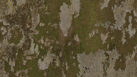 Moss Seamless Texture 2k (2048*2048) | EXR 5 | JPG 5 File Formats All Texture Apply After Object Look Like A 3D. (1K preview image)