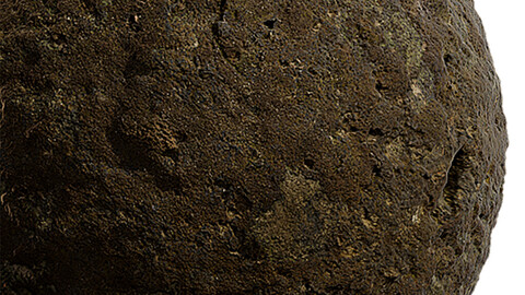 Moss Seamless Texture Patterns 2k (2048*2048) | EXR 5 | JPG 5 File Formats. (1K preview image)