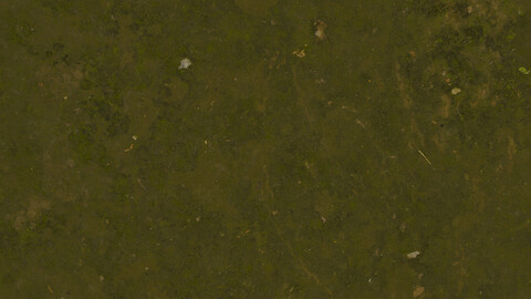 Moss Seamless Texture 2k (2048*2048) | EXR 5 | JPG 5 File Formats All Texture Apply After Object Look Like A 3D. (1K preview image)