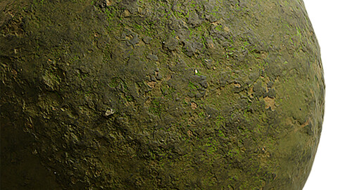 Moss Seamless Texture Patterns 2k (2048*2048) | EXR 5 | JPG 5 File Formats. (1K preview image)