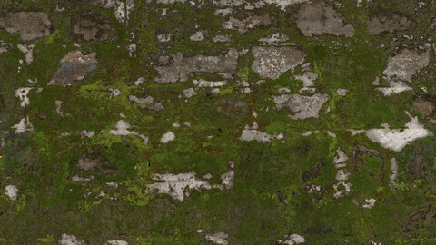 Moss Seamless Texture 2k (2048*2048) | EXR 5 | JPG 5 File Formats All Texture Apply After Object Look Like A 3D. (1K preview image)