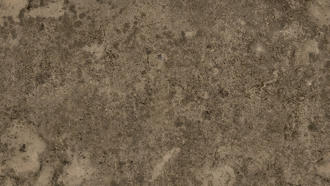 Plaster Seamless Texture 2k (2048*2048) | EXR 5 | JPG 5 File Formats All Texture Apply After Object Look Like A 3D. (1K preview image)