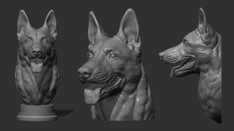 Belgian Shepherd Malinois bust