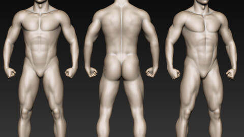 Male Strong Body - Basemesh