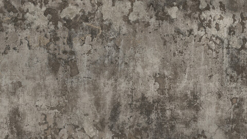 Plaster Seamless Texture 2k (2048*2048) | EXR 5 | JPG 5 File Formats All Texture Apply After Object Look Like A 3D. (1K preview image)