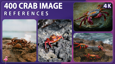 400 Crab Image Reference Pack – Vol 1