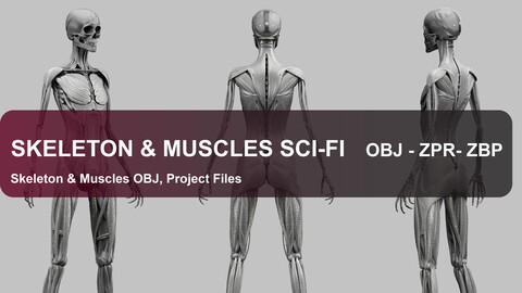 SKELETON & MUSCLES SCI-FI MEDICAL - MECH MINISTRY