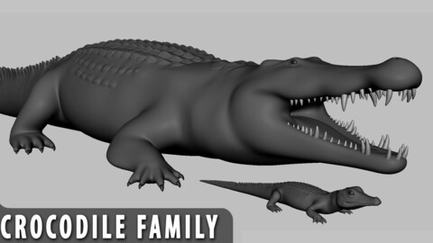 Crocodile / Alligator Family - Topology + UV map