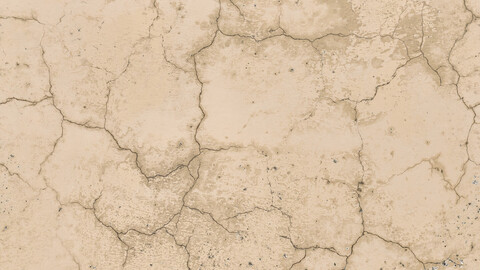 Plaster Seamless Texture 2k (2048*2048) | EXR 5 | JPG 5 File Formats All Texture Apply After Object Look Like A 3D. (1K preview image)