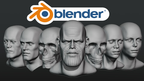 A Noob's guide to sculpting heads - Course - Fast lane