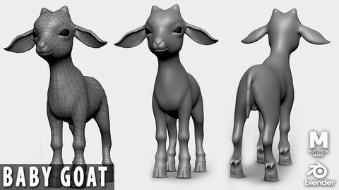 Baby Goat   - Topology + UV Map