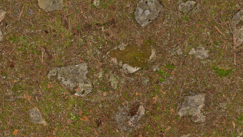 Rock Seamless Texture 2k (2048*2048) | EXR 5 | JPG 5 File Formats All Texture Apply After Object Look Like A 3D. (1K preview image)