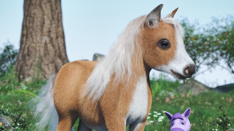 Pocket the Miniature Horse