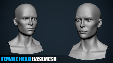 Female Head Basemesh - Susan