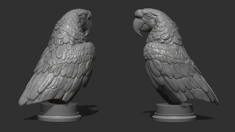 Parrot Ara bust