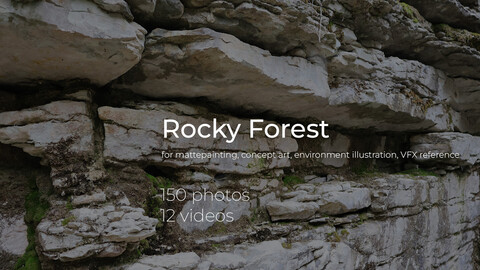 150 Rocky Forest Reference Photos + 12 videos bonus