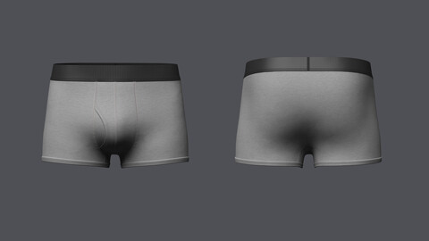 Mens Boxer Brief With Pouch 3D model