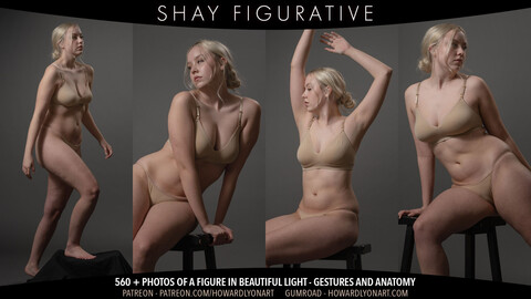 Shay Figurative