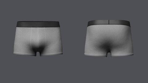 Mens Boxer Brief 3D model