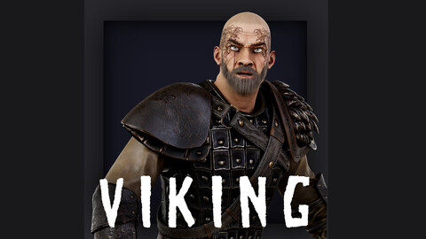 Viking 2 A pose Low_poly character redy for games