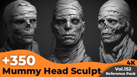 +350 Mummy Head Sculpt Reference(4k)