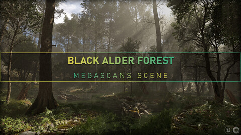 Megascans Scene - Black Alder Forest