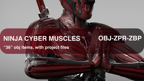 CYBER NINJA MUSCLES PACK - MECH MINISTRY