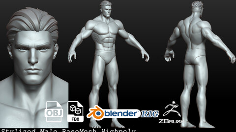 Stylized Hero BaseMesh Man  Zbursh Highpoly Anatomy pack human cartoon male female torso head body foot hand highpoly basemesh young anatomy