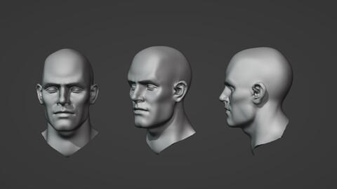 Male head Reference 3D model