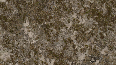 Rock Seamless Texture 2k (2048*2048) | EXR 5 | JPG 5 File Formats All Texture Apply After Object Look Like A 3D. (1K preview image)