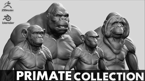 Primate Pack ( Monkey, Chimp, Gorilla, Orangutan ) - Topology + UV Map